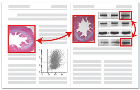 图片重复检测技术